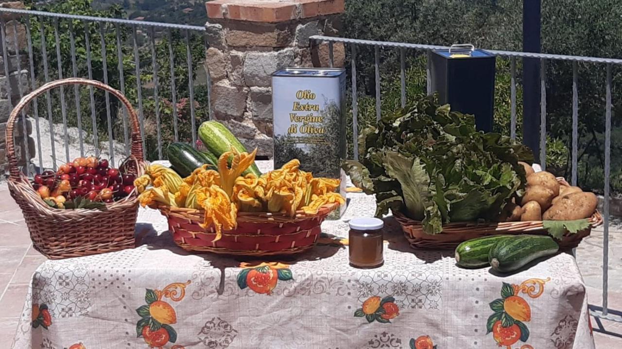 Agriturismo Gli Antichi Sapori - Con Stazione Di Ricarica Veicoli Elettrici Vatolla Exterior foto